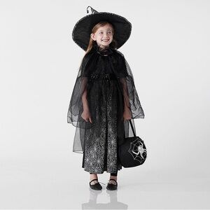 Pottery Barn Kids Black and Silver Witch Costume With Hat